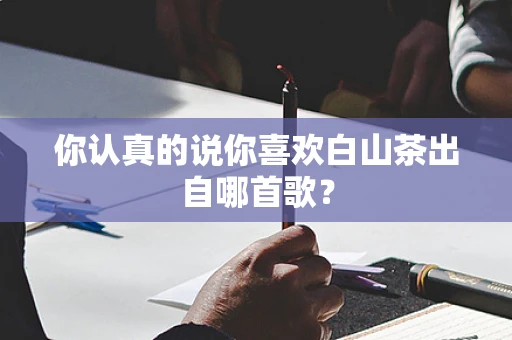 你认真的说你喜欢白山茶出自哪首歌？