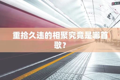 重拾久违的相聚究竟是哪首歌？