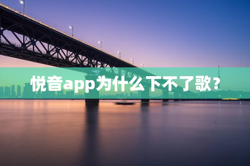 悦音app为什么下不了歌？