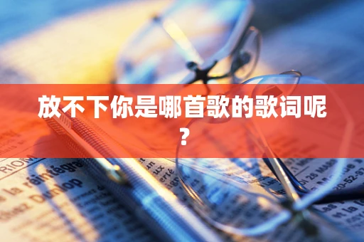 放不下你是哪首歌的歌词呢？
