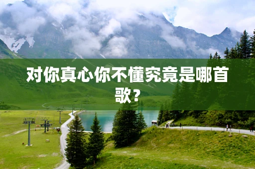 对你真心你不懂究竟是哪首歌？