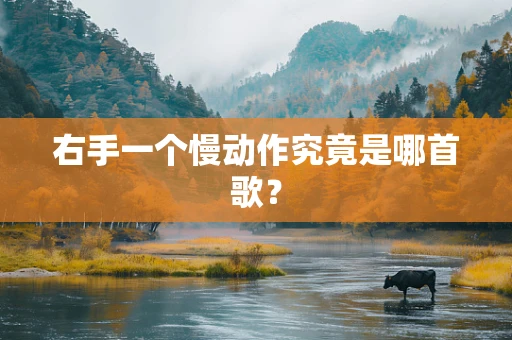 右手一个慢动作究竟是哪首歌？