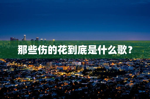 那些伤的花到底是什么歌？