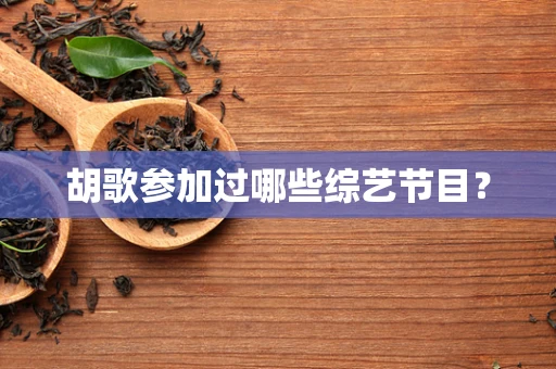 胡歌参加过哪些综艺节目？