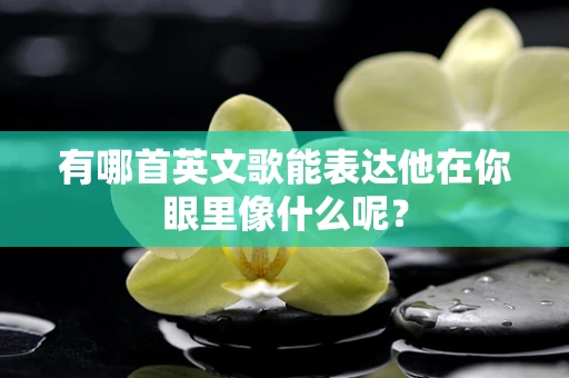 有哪首英文歌能表达他在你眼里像什么呢？