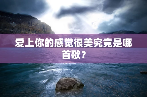 爱上你的感觉很美究竟是哪首歌？