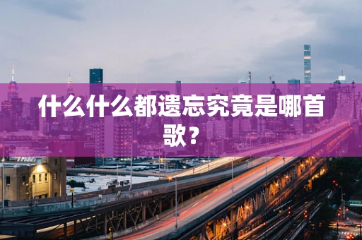 什么什么都遗忘究竟是哪首歌？