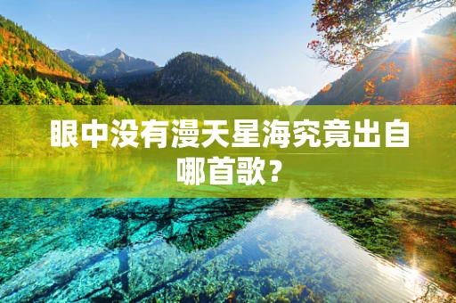 眼中没有漫天星海究竟出自哪首歌？