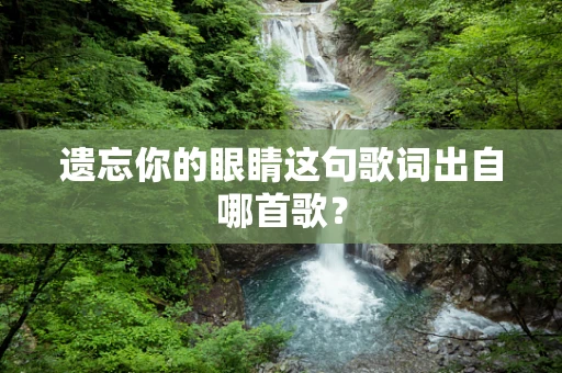遗忘你的眼睛这句歌词出自哪首歌？