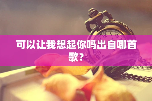 可以让我想起你吗出自哪首歌？