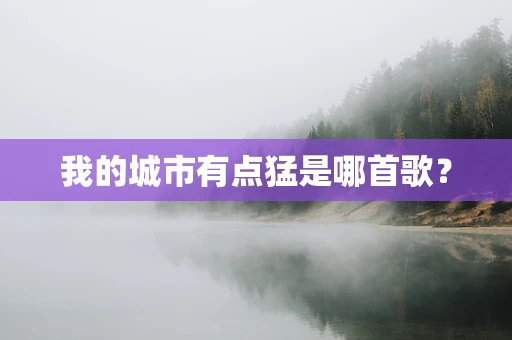 我的城市有点猛是哪首歌？
