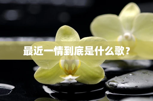 最近一情到底是什么歌？