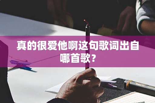 真的很爱他啊这句歌词出自哪首歌？