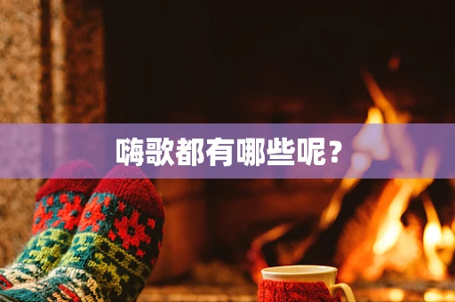 嗨歌都有哪些呢？