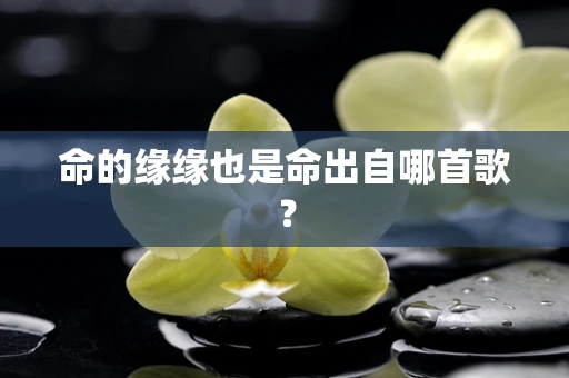 命的缘缘也是命出自哪首歌？