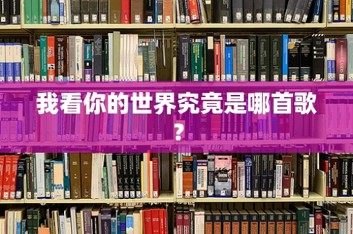 我看你的世界究竟是哪首歌？