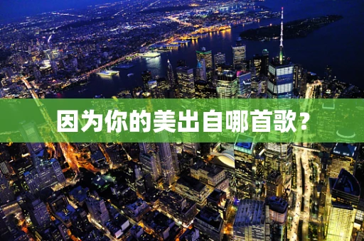 因为你的美出自哪首歌？