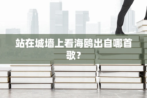 站在城墙上看海鸥出自哪首歌？