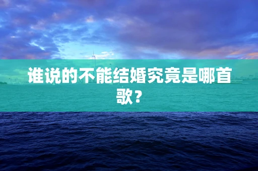 谁说的不能结婚究竟是哪首歌？