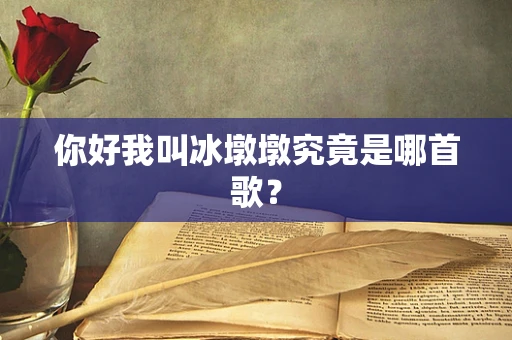 你好我叫冰墩墩究竟是哪首歌？