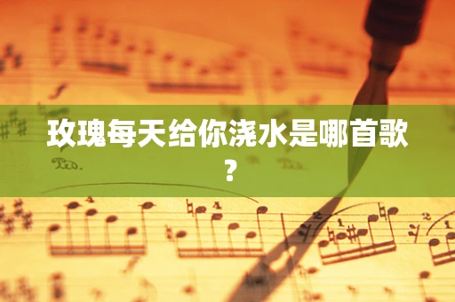 玫瑰每天给你浇水是哪首歌？