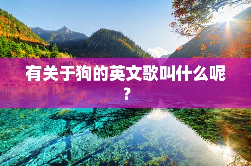 有关于狗的英文歌叫什么呢？