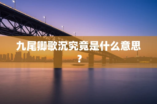 九尾卿歌沉究竟是什么意思？