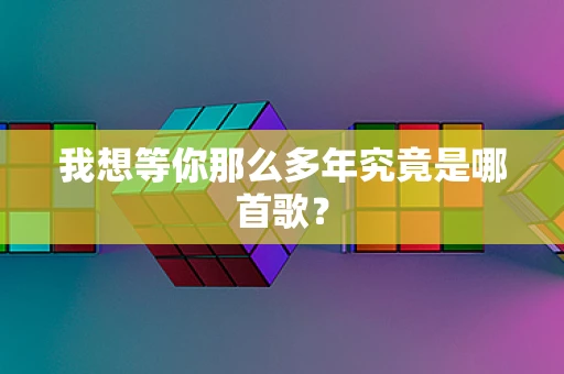 我想等你那么多年究竟是哪首歌？