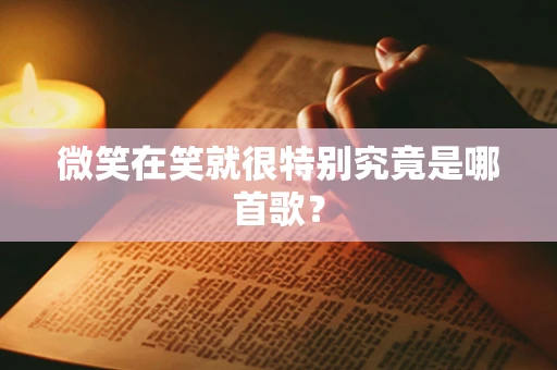 微笑在笑就很特别究竟是哪首歌？