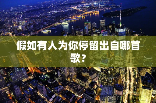 假如有人为你停留出自哪首歌？