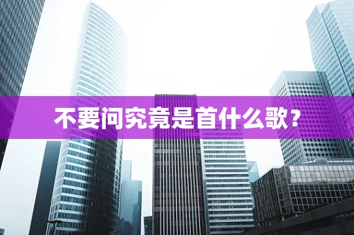 不要问究竟是首什么歌？