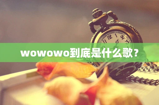 wowowo到底是什么歌？