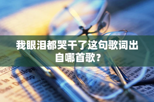 我眼泪都哭干了这句歌词出自哪首歌？
