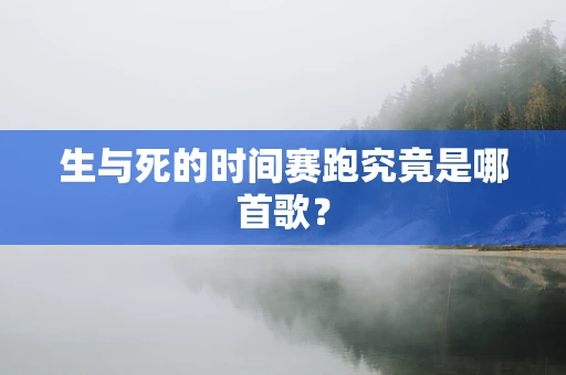 生与死的时间赛跑究竟是哪首歌？