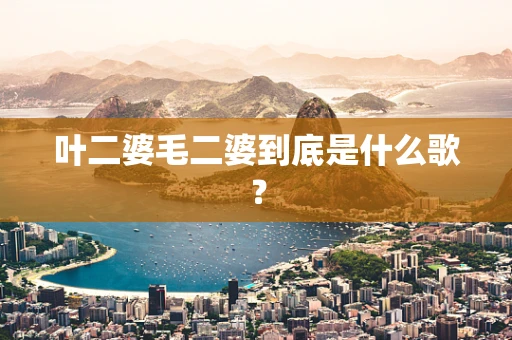 叶二婆毛二婆到底是什么歌？