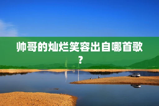 帅哥的灿烂笑容出自哪首歌？