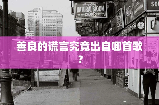 善良的谎言究竟出自哪首歌？