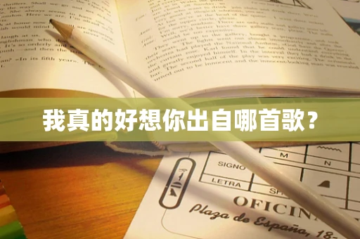 我真的好想你出自哪首歌？