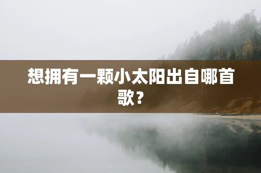 想拥有一颗小太阳出自哪首歌？