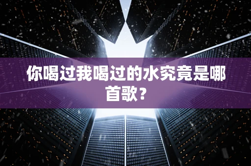 你喝过我喝过的水究竟是哪首歌？