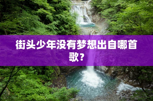 街头少年没有梦想出自哪首歌？