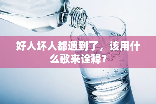 好人坏人都遇到了，该用什么歌来诠释？