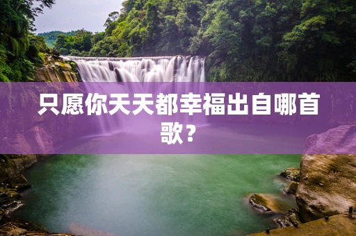 只愿你天天都幸福出自哪首歌？