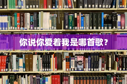 你说你爱着我是哪首歌？