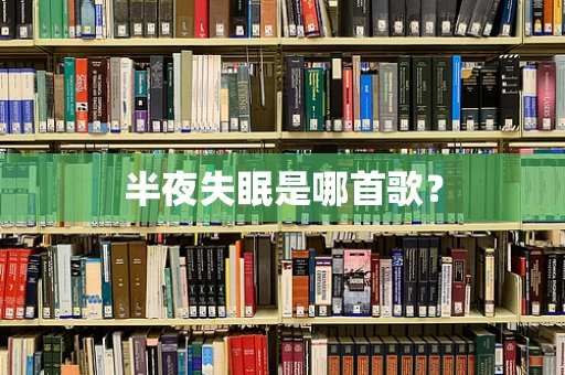 半夜失眠是哪首歌？