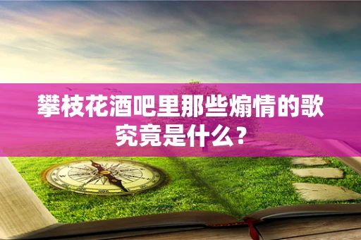 攀枝花酒吧里那些煽情的歌究竟是什么？
