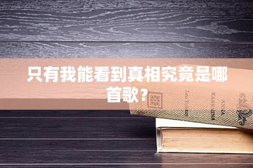 只有我能看到真相究竟是哪首歌？