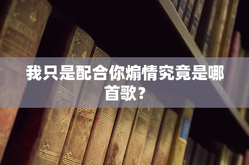 我只是配合你煽情究竟是哪首歌？