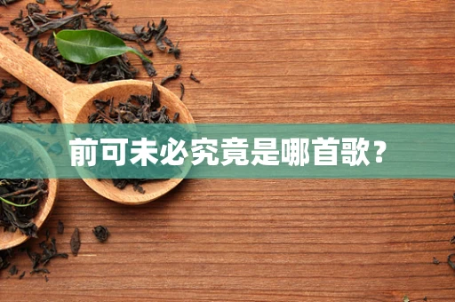 前可未必究竟是哪首歌？