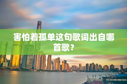 害怕着孤单这句歌词出自哪首歌？